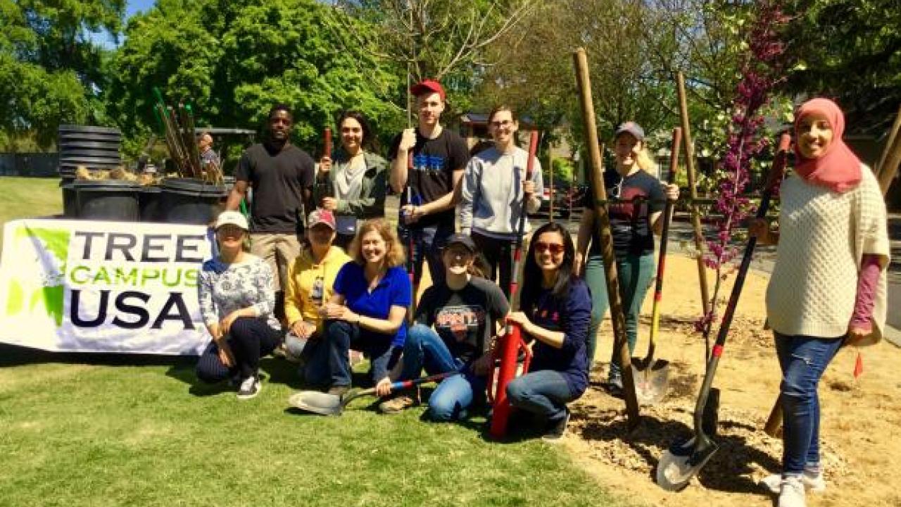 Tree Campus USA planting crew