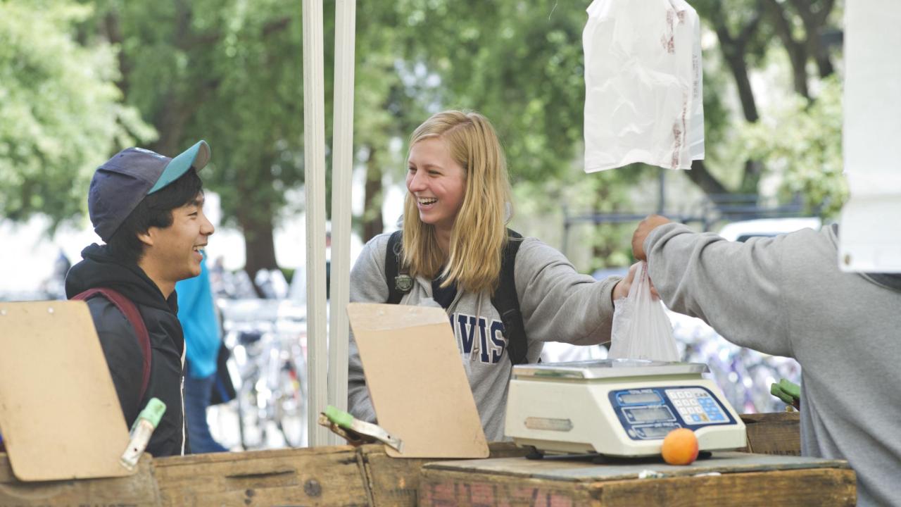 Students at a farmer's market stand
