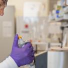 uc davis researcher working in a laboratory